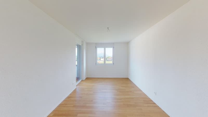 Blick ins Grüne (9)