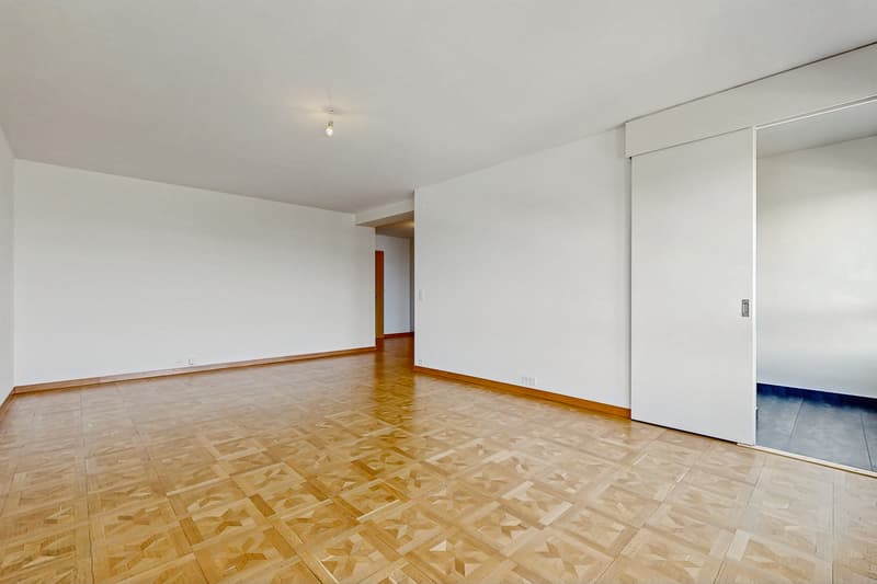 Bel appartement de 3 pièces avec vue sur le lac Léman (3)