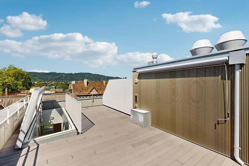 Moderne Singlewohnung in Zürich mit grosszügiger Dachterrasse! (2)