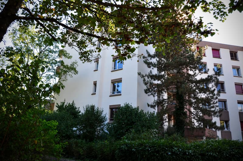 Grosszügige Wohnung mit Cheminée (1)