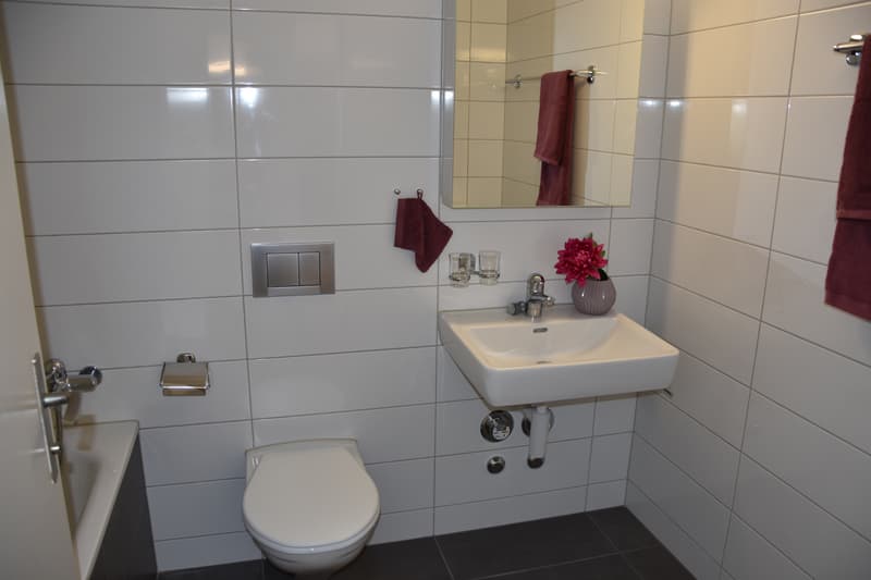 Grosszügige Wohnung mit Cheminée (8)