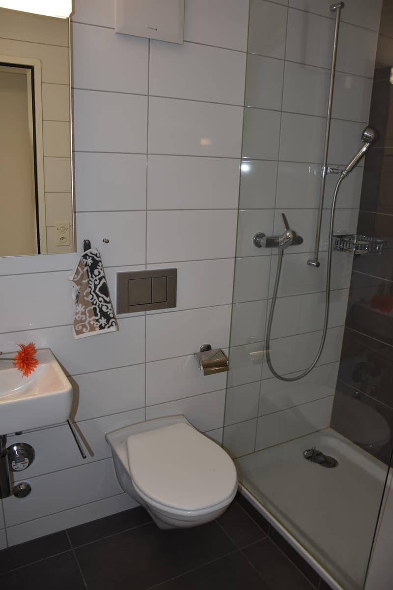 Grosszügige Wohnung mit Cheminée (9)