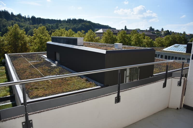 Grosszügige Wohnung mit Cheminée (10)