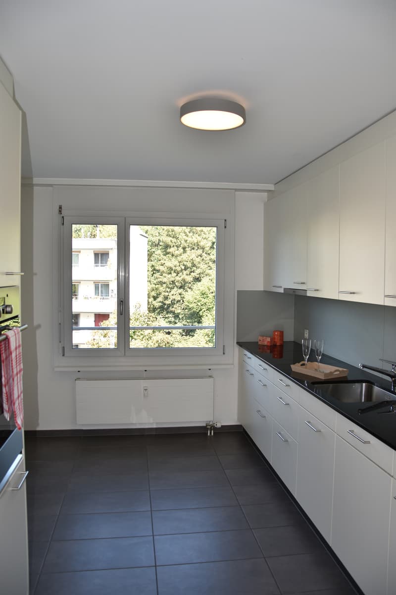 Grosszügige Wohnung mit Cheminée (7)