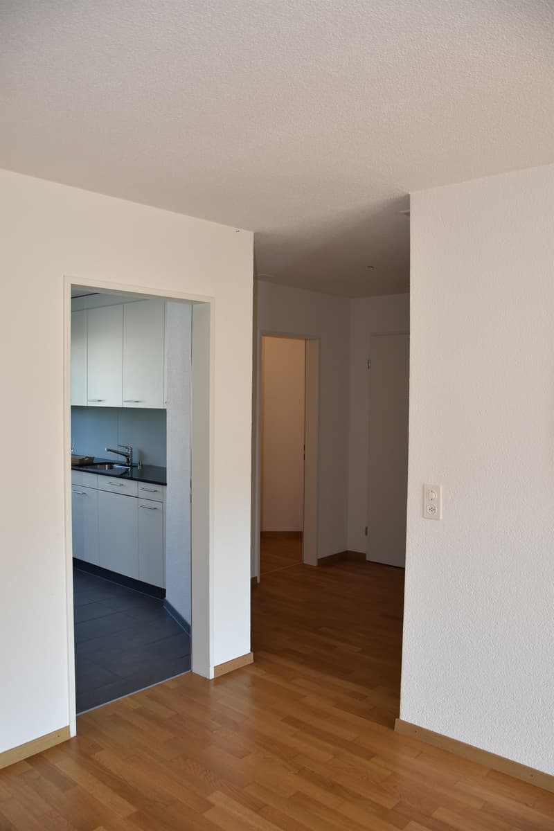 Grosszügige Wohnung mit Cheminée (6)