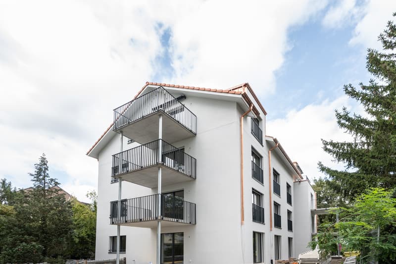 Ihre neue Wohlfühloase in Küsnacht (1)