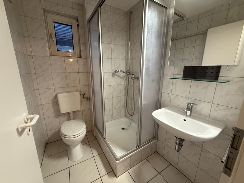 Gemütliche Singlewohnung (3)