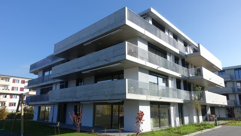 Moderne 3.5-Zimmer-Wohnung in Dulliken sucht Nachmieter per 01.12.2026! (1)