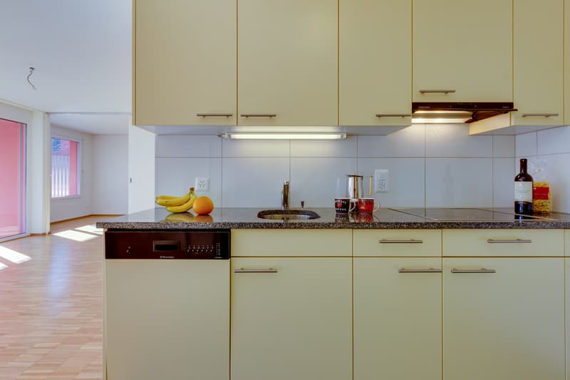 Moderne Wohlfühloase im Untergeschoss mit Sitzplatz (3)