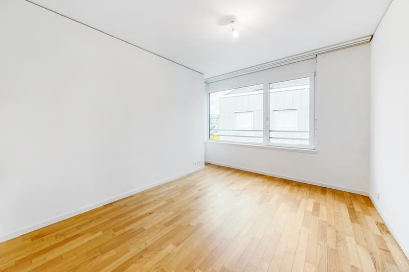 Bel appartement - Quartier de la Sallaz (3)