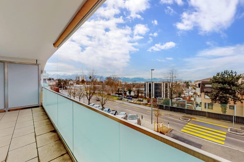 Bel appartement - Quartier de la Sallaz (7)
