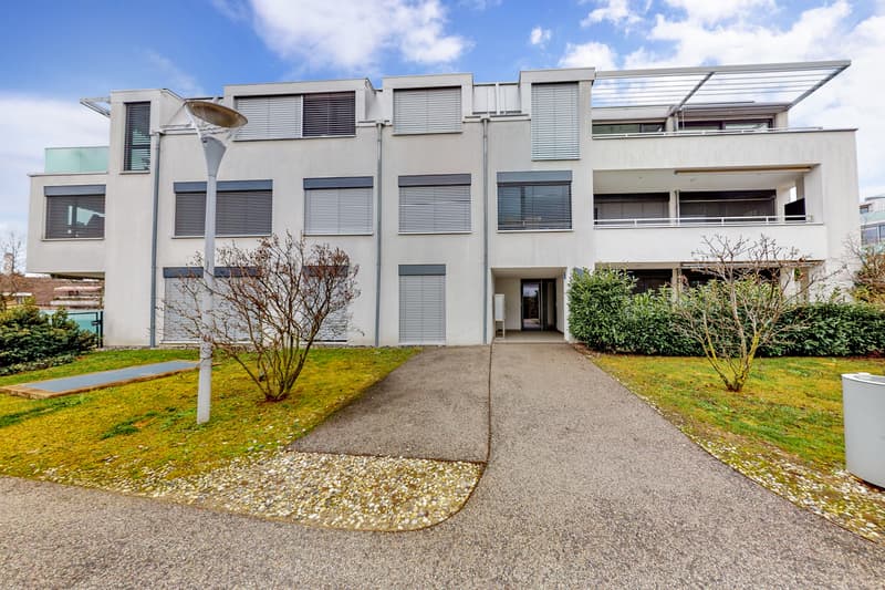 Bel appartement - Quartier de la Sallaz (8)