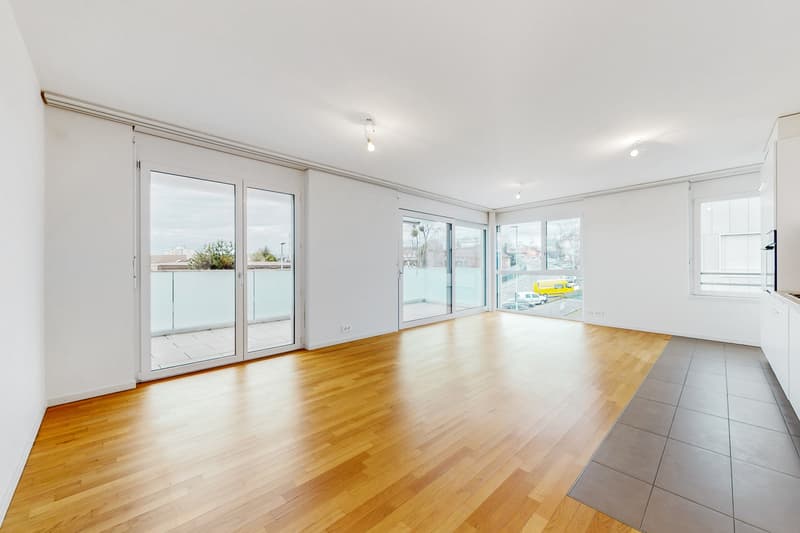 Bel appartement - Quartier de la Sallaz (1)