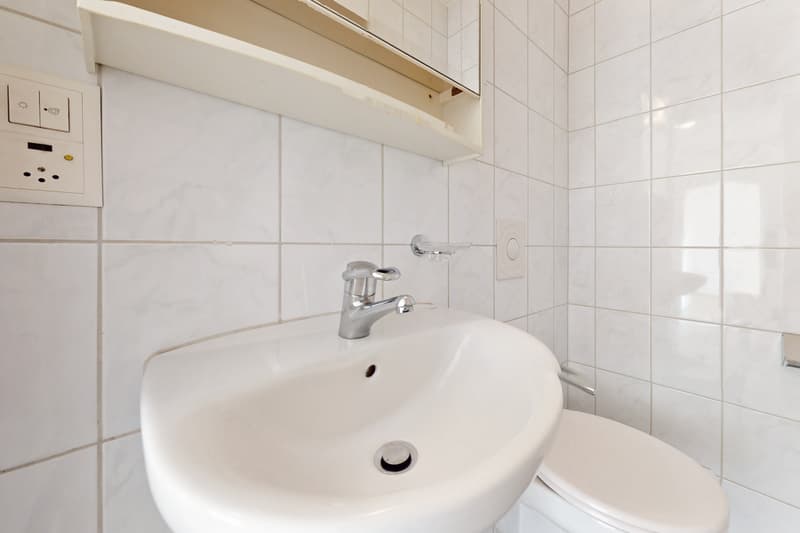 In der City Zuhause, im Grünen daheim (8)