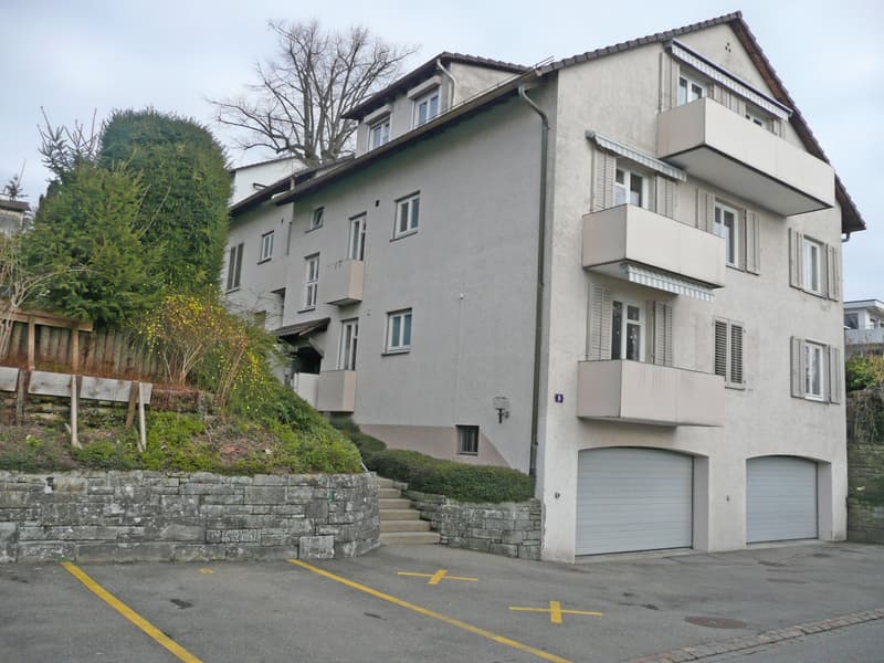Auto-Abstellplatz in Zollikon zu vermieten (1)