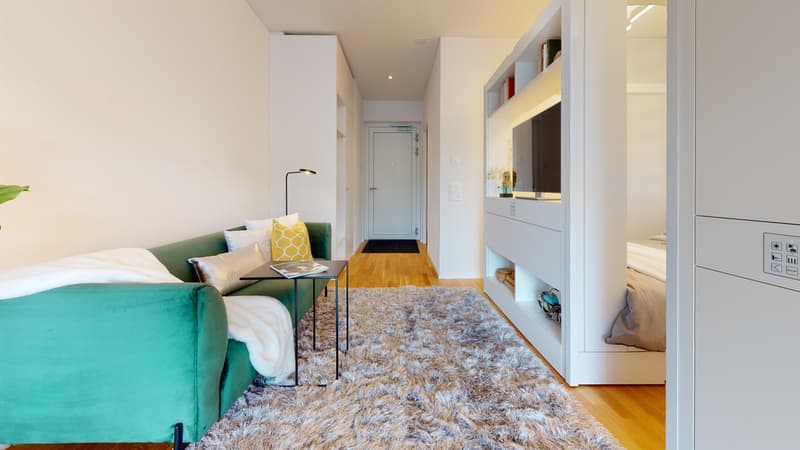 Möblierte Singlewohnung im Henz Areal (5)