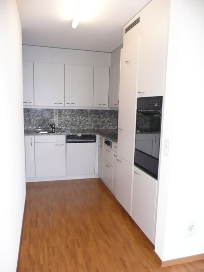 Einmalige Dachwohnung am Zürichsee (5)