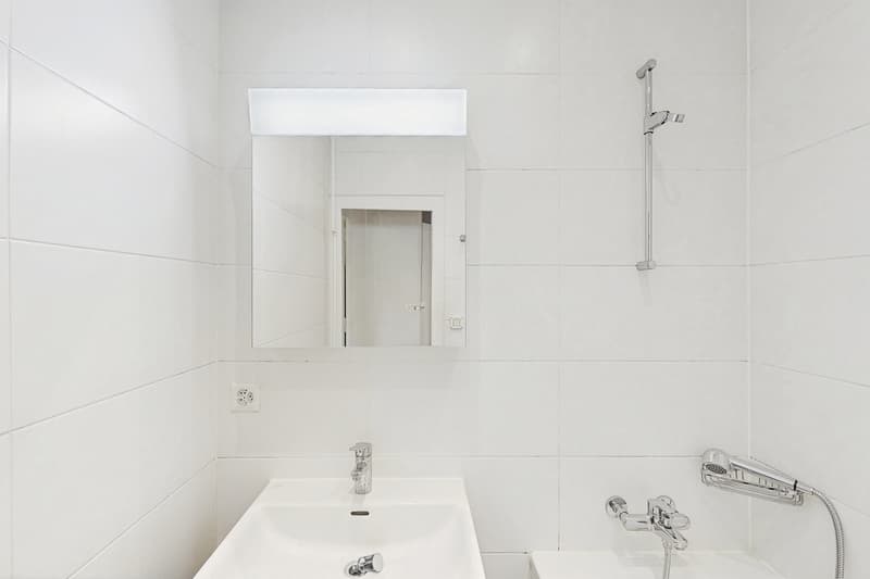 Un bel appartement dans le quartier de Plainpalais ! (9)