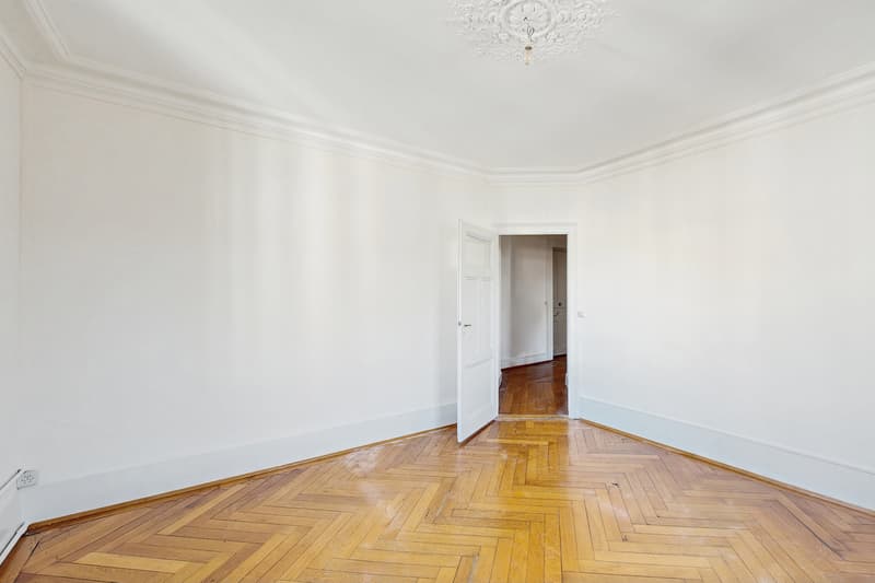 Un bel appartement dans le quartier de Plainpalais ! (3)