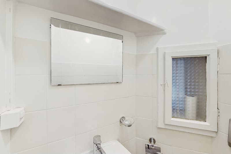 Un bel appartement dans le quartier de Plainpalais ! (10)