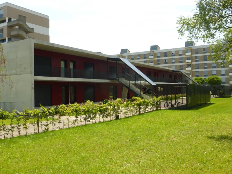 Ihre erste eigene und moderne Wohnung! (1)