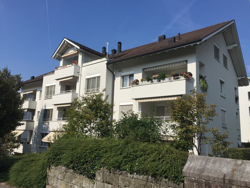 Moderne und helle Wohnung mit Charme! (1)