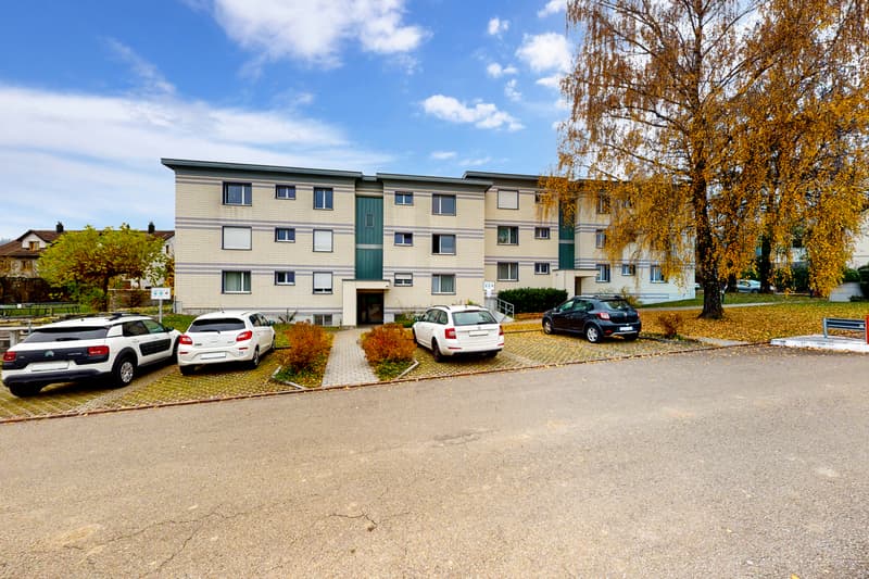 Schöne Singlewohnung zu vermieten (1)