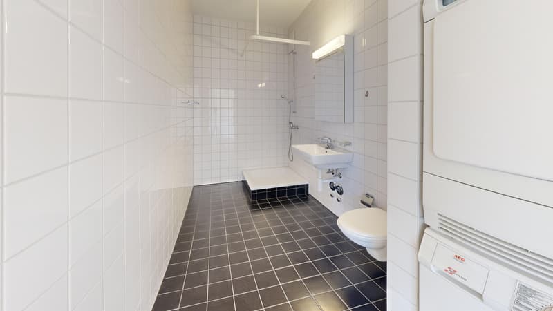 Aufgepasst! Traumhafte Attikawohnung auf 2 Etagen mit 3 Terrassen! (12)