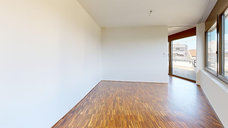 Aufgepasst! Traumhafte Attikawohnung auf 2 Etagen mit 3 Terrassen! (6)