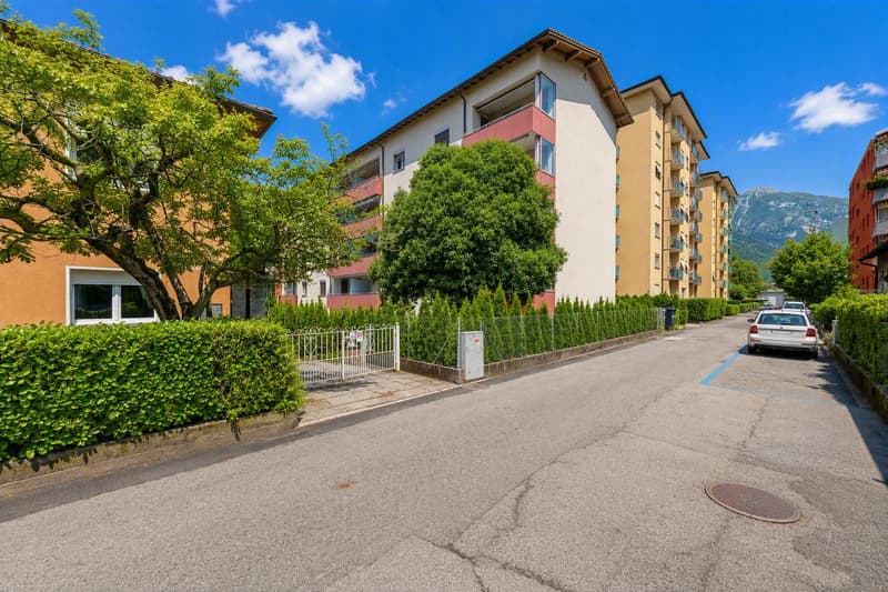 Grazioso e rinnovato vicino al centro città (1)