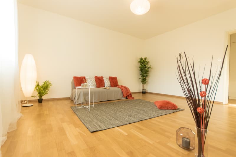 Grazioso e rinnovato vicino al centro città (5)