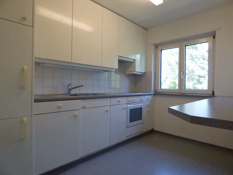 Tolle Wohnung im Herzen von Schlieren! (4)