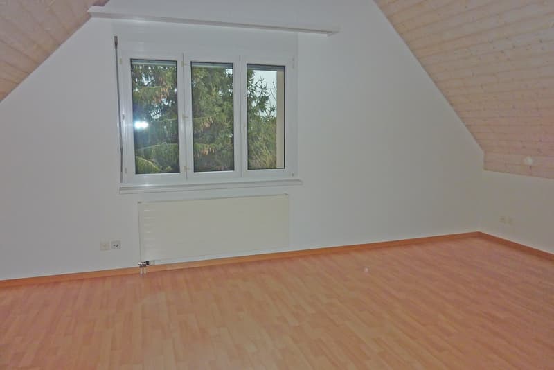 Wohlfühloase - attraktive Dach-Maisonettewohnung! (9)