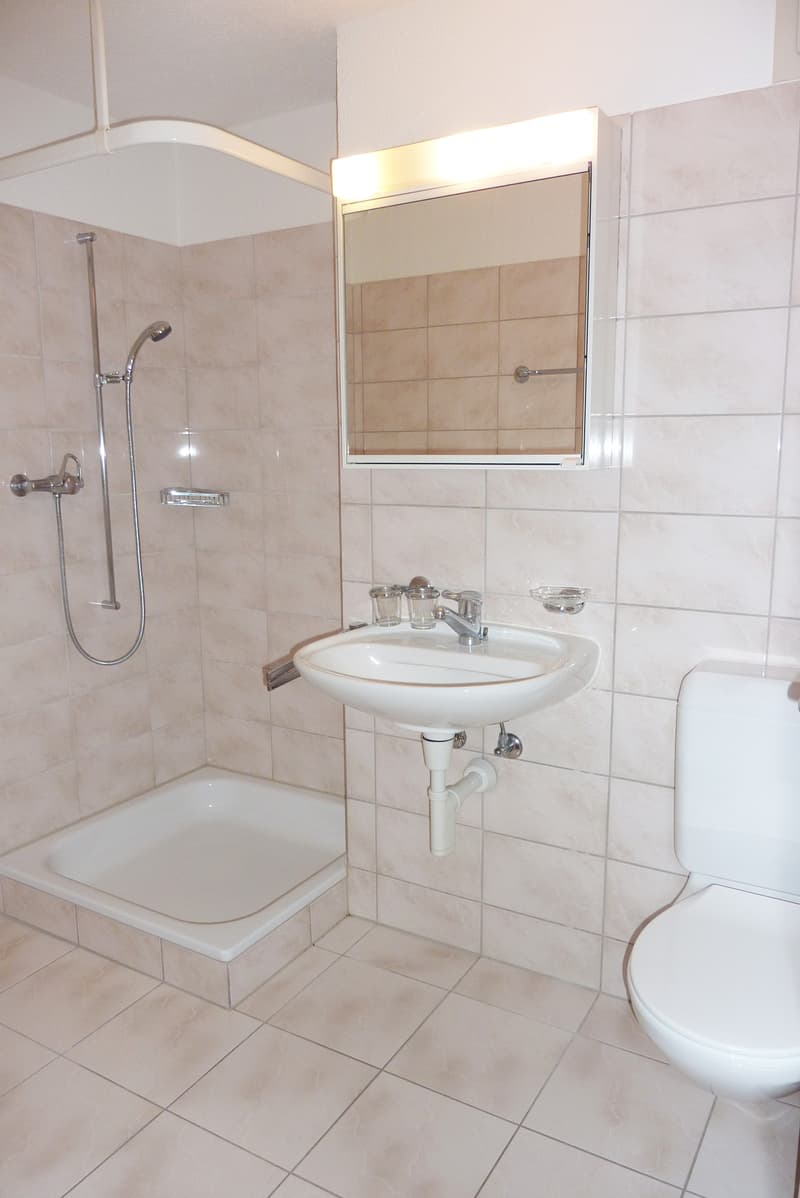 Wohlfühloase - attraktive Dach-Maisonettewohnung! (7)