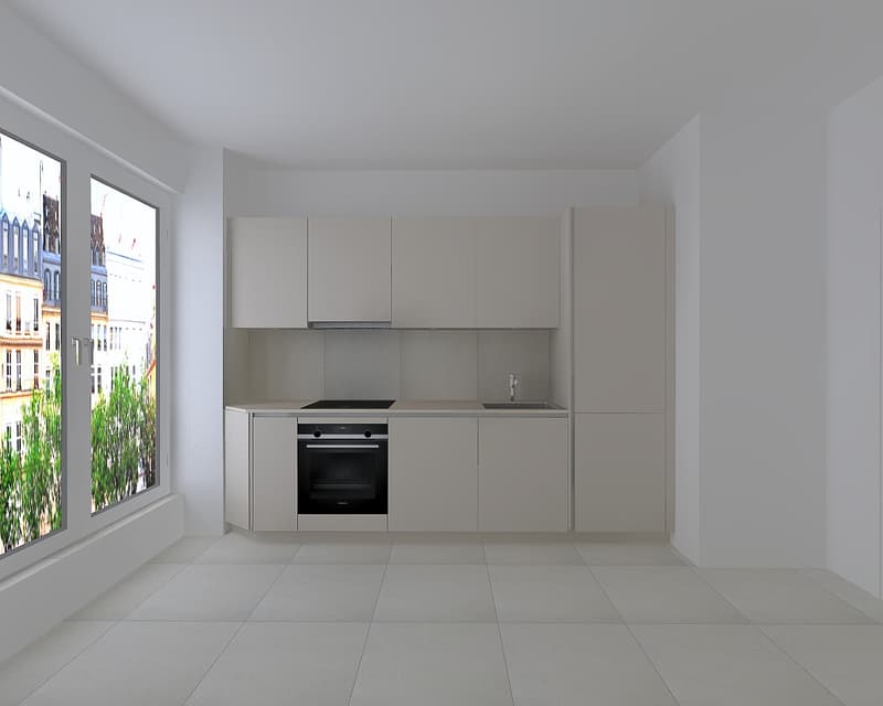 Appartement de 3 pièces entièrement rénové au cur de Genève (3)