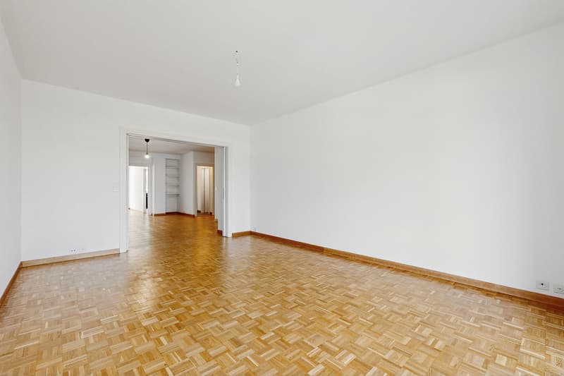 Bel appartement à proximité de la gare Cornavin (9)