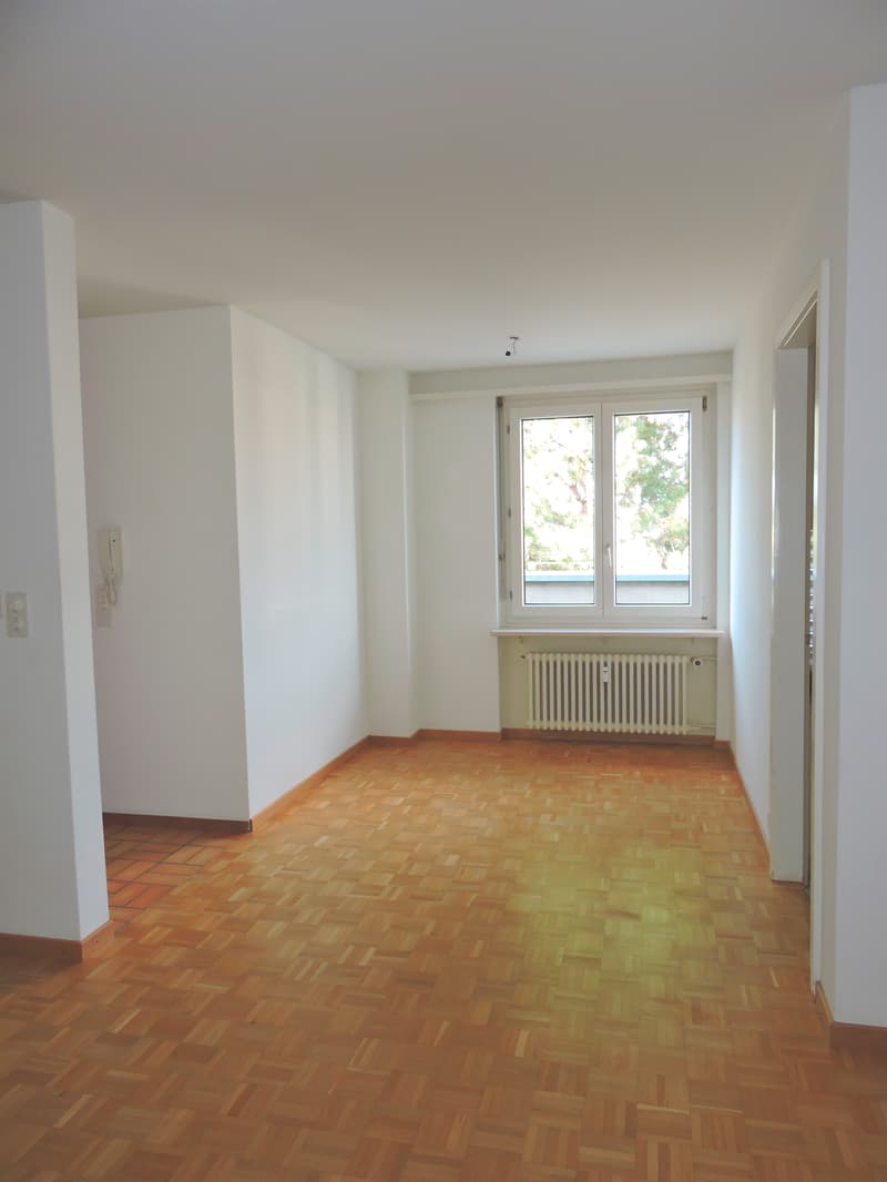 Lichtdurchflutete Attikawohnung (2)