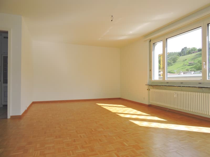 Lichtdurchflutete Attikawohnung (3)