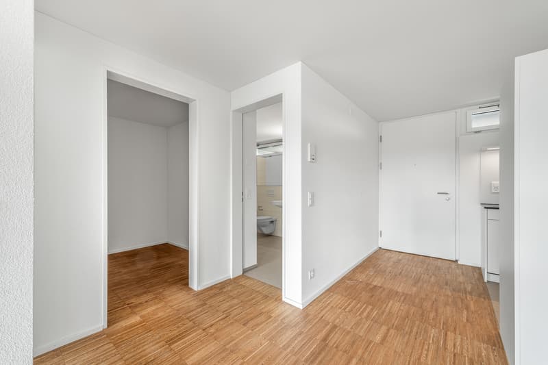 Urban wohnen im Herzen von Emmen moderne 2.5-Zimmer-Wohnung mit Balkon (7)