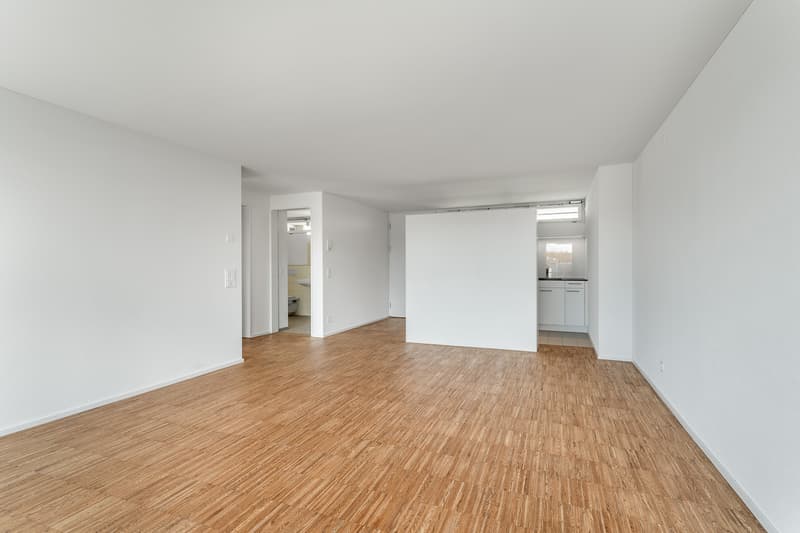Urban wohnen im Herzen von Emmen moderne 2.5-Zimmer-Wohnung mit Balkon (6)