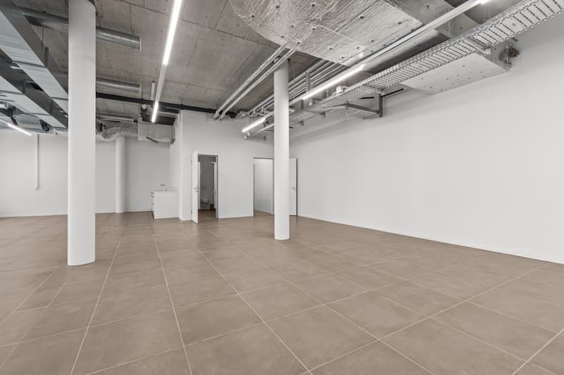 Grosszügiger Gewerberraum an attraktiver Lage im Quartier Greencity (9)