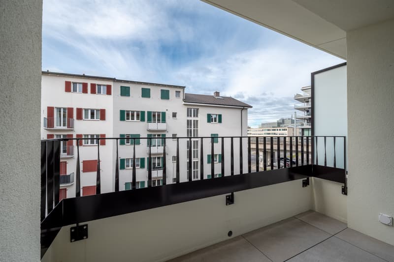 Zentral, modern, hochwertig Ihr neues Zuhause in Zug (7)