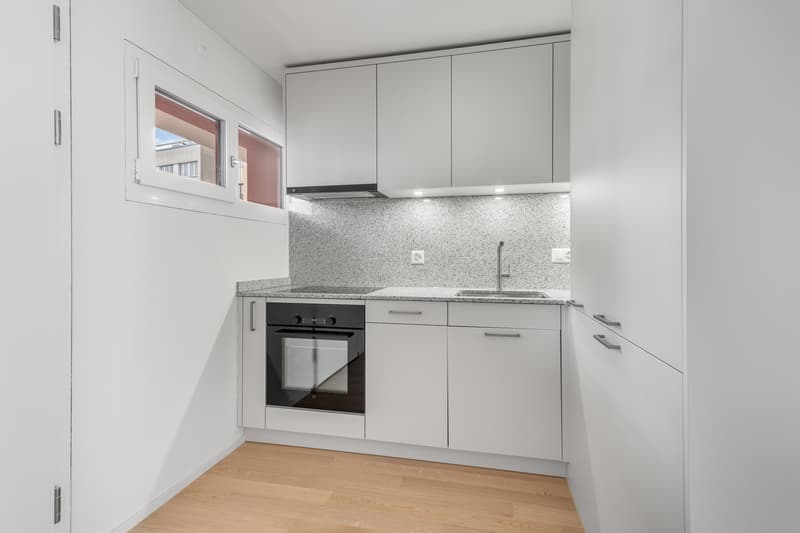 Zentral, modern, hochwertig Ihr neues Zuhause in Zug (5)