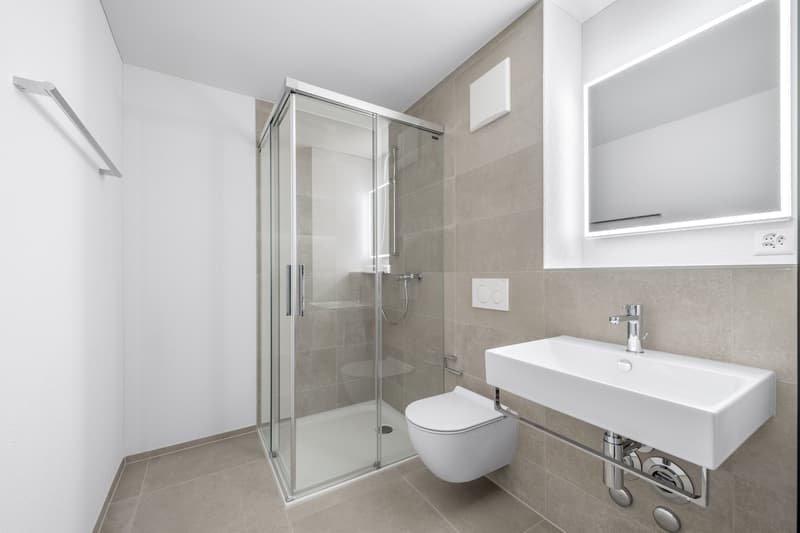 Zentral, modern, hochwertig Ihr neues Zuhause in Zug (8)