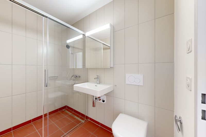 Moderne 3.5-Zimmer-Attikawohnung in Zürich-Oerlikon (4)