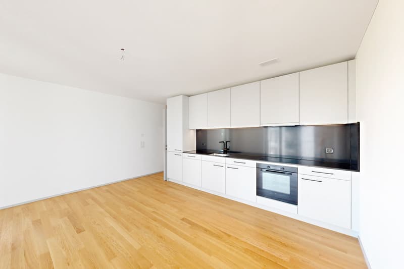 Moderne 3.5-Zimmer-Attikawohnung in Zürich-Oerlikon (3)