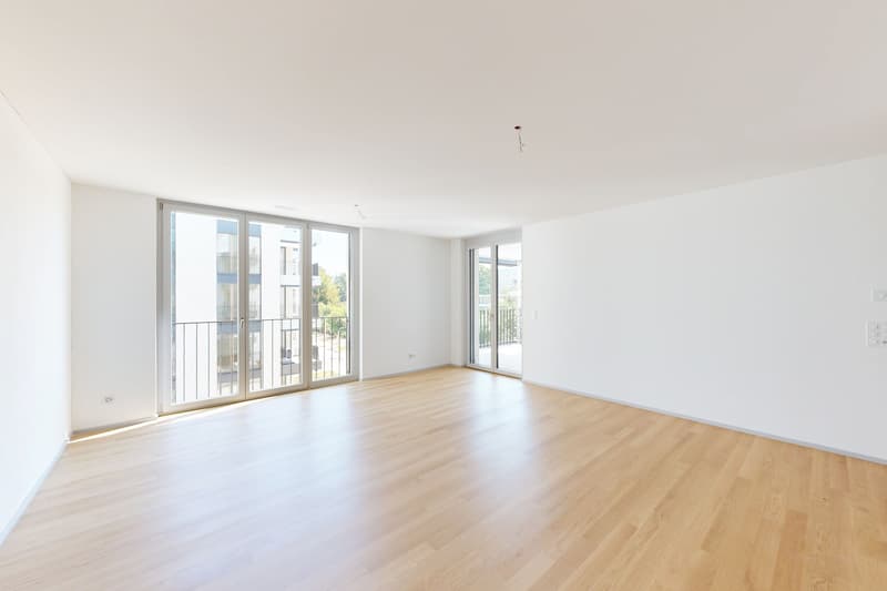 Moderne 3.5-Zimmer-Attikawohnung in Zürich-Oerlikon (1)