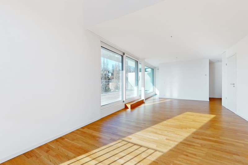 Magnifique duplex à Ecublens ! (3)