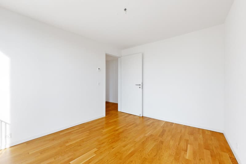 Magnifique duplex à Ecublens ! (10)