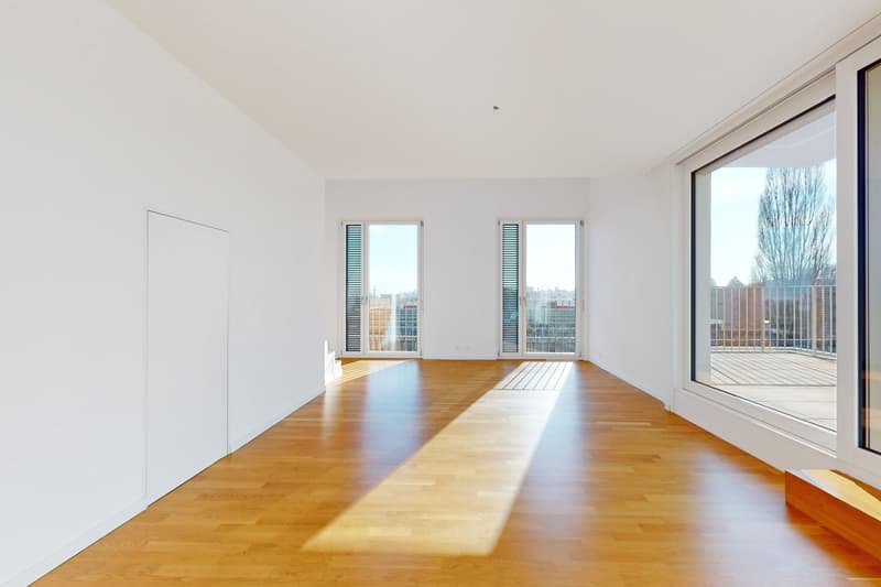 Magnifique duplex à Ecublens ! (1)